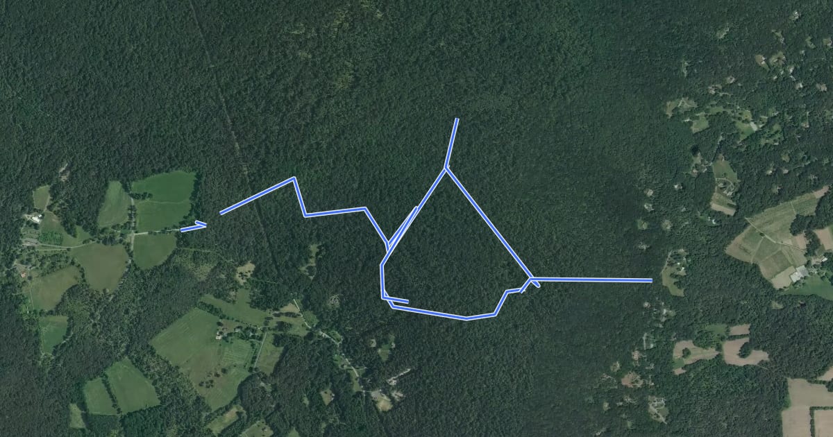 Маршрут Buzzards Trail на спутниковом снимке