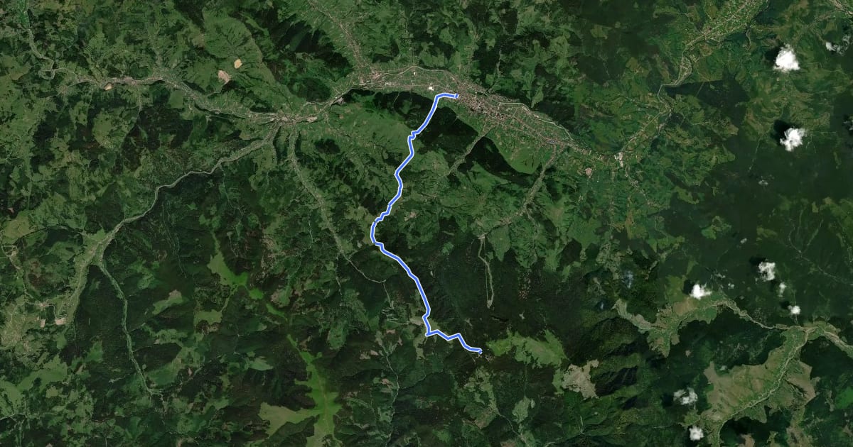 Маршрут Câmpulung Moldovenesc – Culmea Munceii Rarăului – Hotel Rarău (blue stripe) на спутниковом снимке