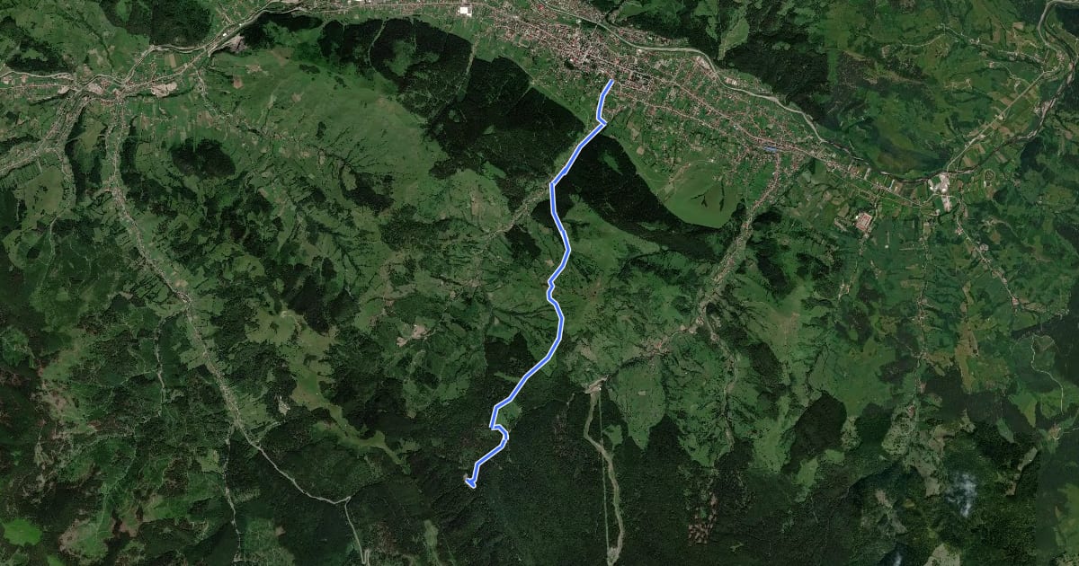 Маршрут Câmpulung Moldovenesc - Mănăstirea Sihăstria Rarăului на спутниковом снимке