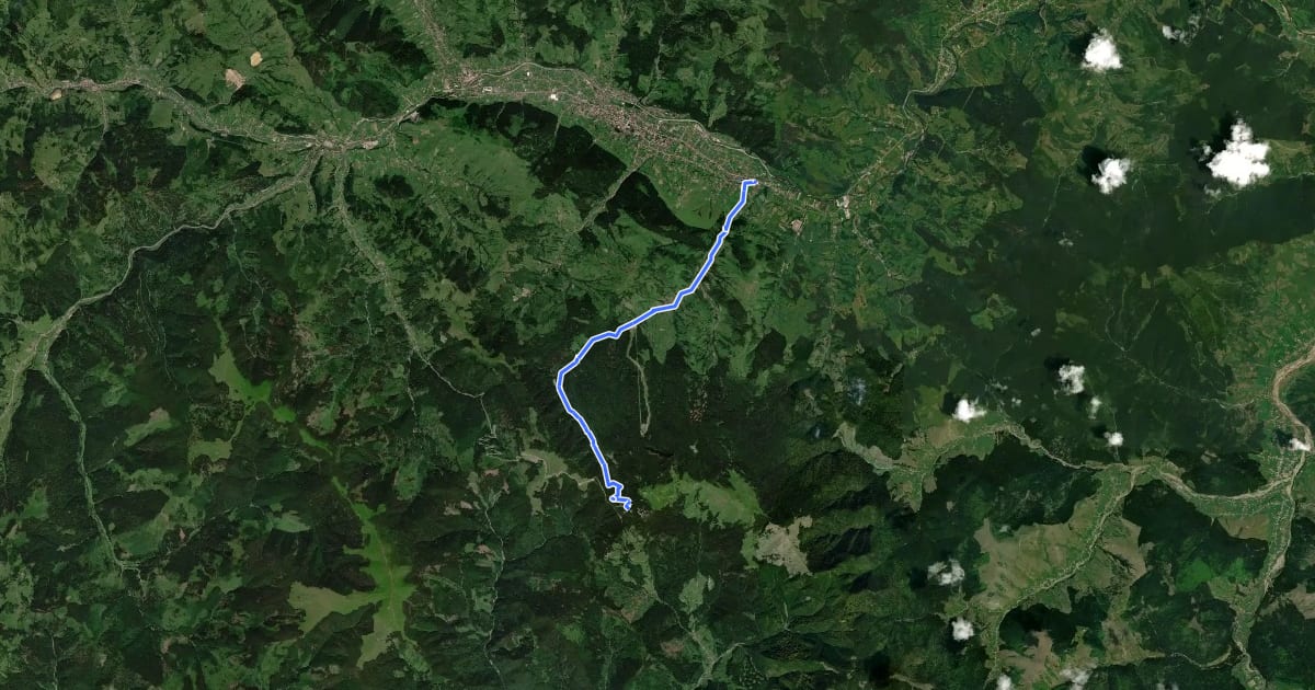 Маршрут Câmpulung Moldovenesc – Mănăstirea Sihăstria Rarăului – Hotel Rarău (red dot) на спутниковом снимке