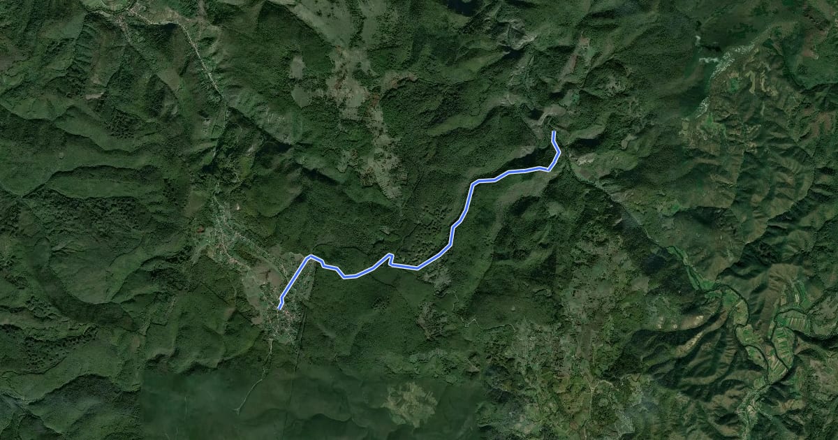 Маршрут Cărbunari – Lacul Dracului (blue stripe) на спутниковом снимке