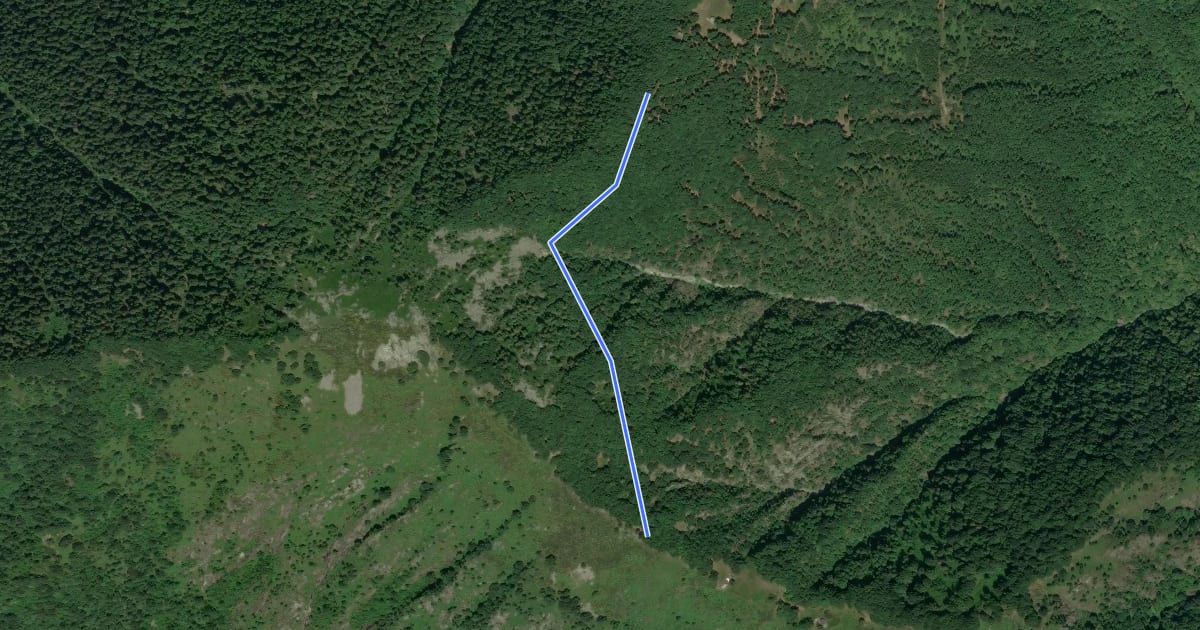 Маршрут C07d - bivio C07, Alpe San Giacomo - bivio A51 a monte dell'Alpe Castello на спутниковом снимке