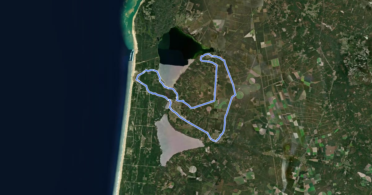 Маршрут C1 - Circuit de la Haute-Landes на спутниковом снимке