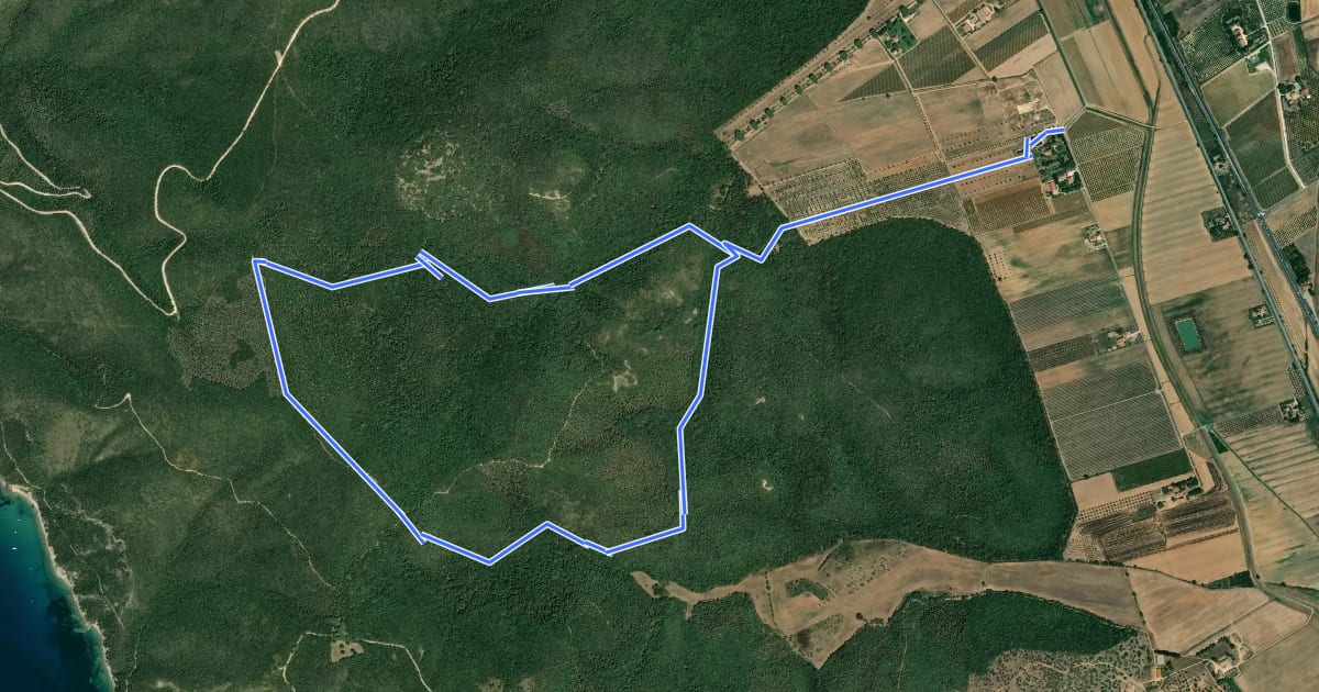 Маршрут C2 Poggio alle Sugherine на спутниковом снимке