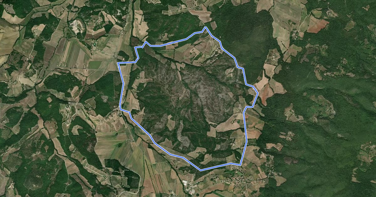 Маршрут C6 на спутниковом снимке