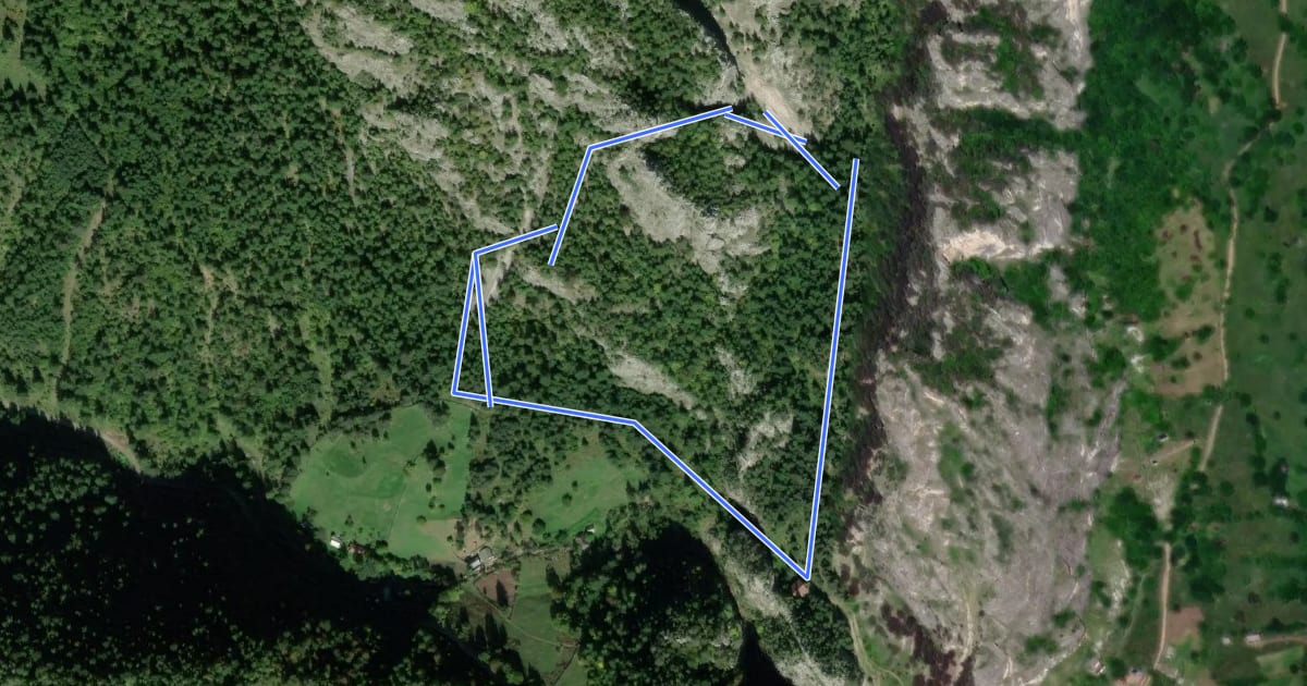 Маршрут Cabana Ecolog - Piatra Șugăului - Cabana Ecolog на спутниковом снимке