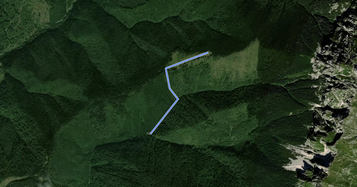 Маршрут Cabana Garofița Pietrei Craiului-Poiana Tămășel на спутниковом снимке