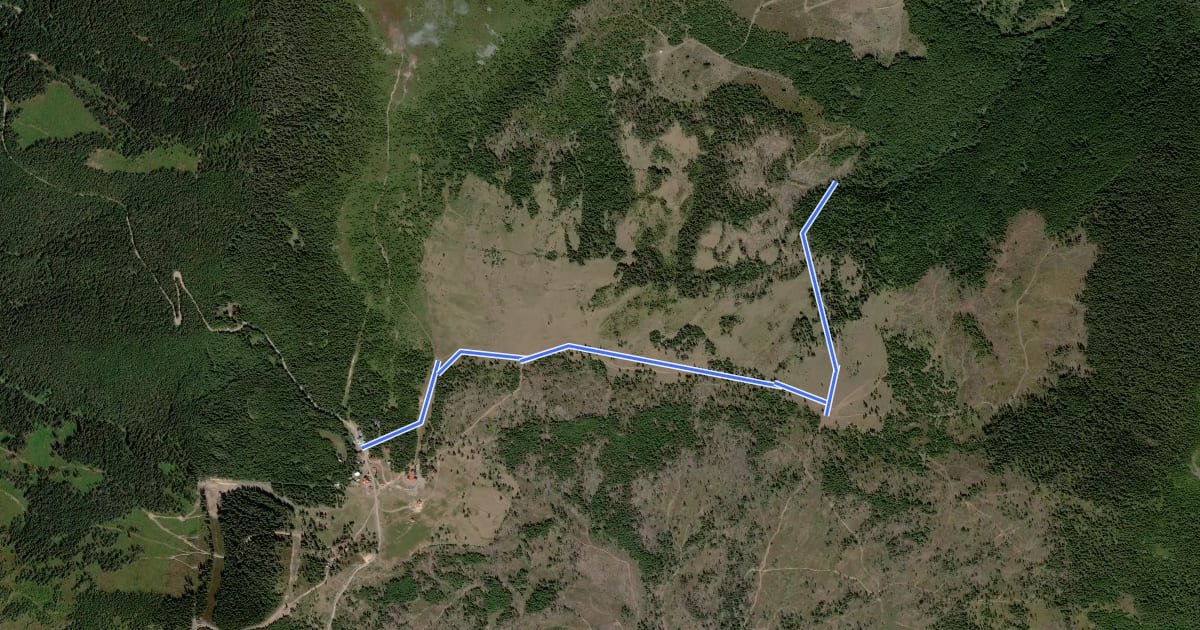 Маршрут Cabana Harghita Mădăraș - Poiana Rákosi Sáté (Sed) - Cascada Săritoarea на спутниковом снимке