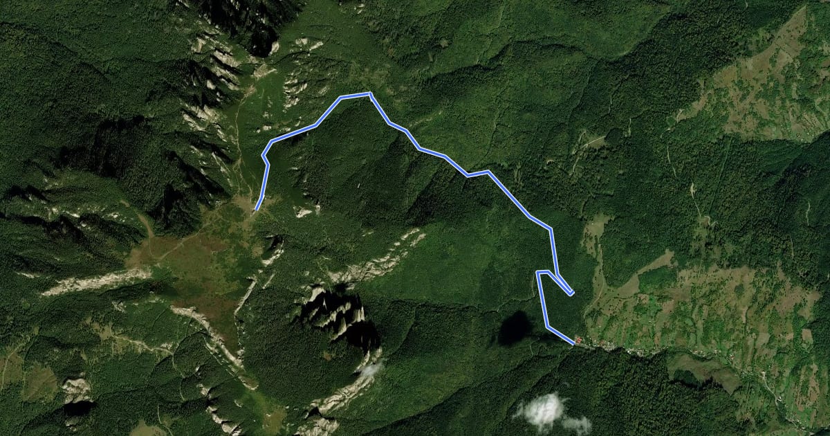 Маршрут Cabana Izv. Muntelui – Stânca Dochiei – Cabana Dochia (blue triangle) на спутниковом снимке