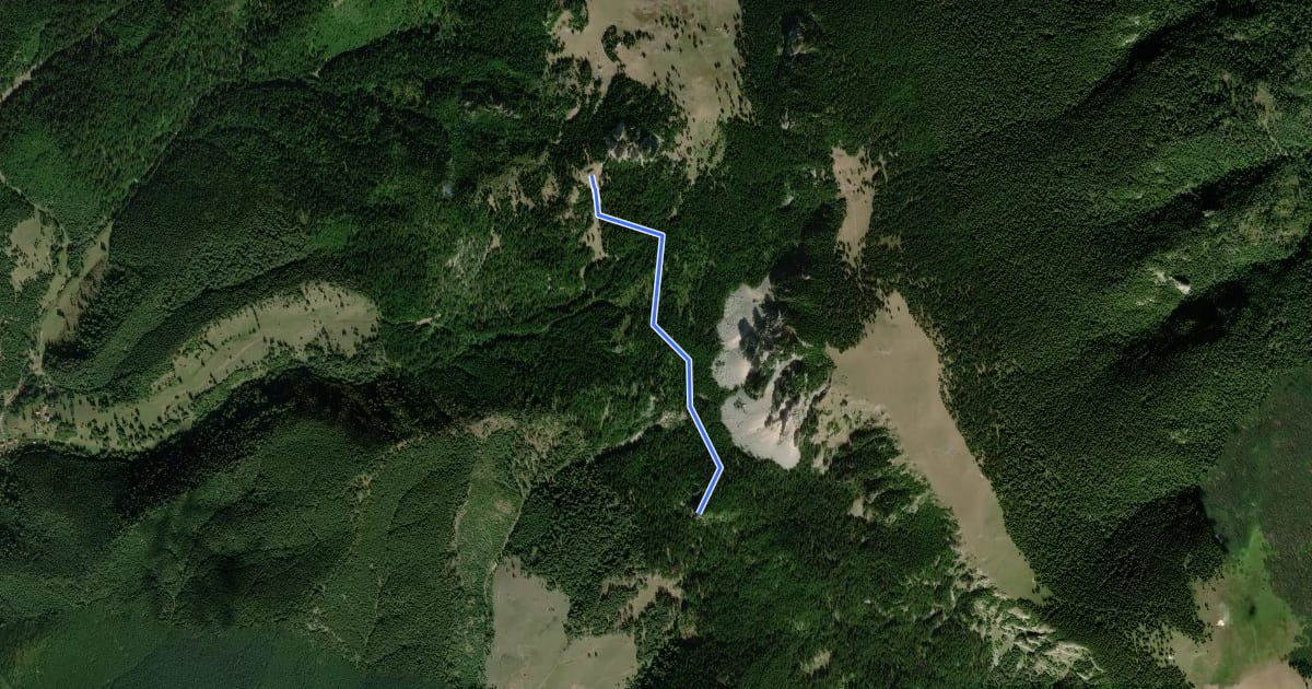 Маршрут Cabana Piatra Singuratică - Piatra La Pândă на спутниковом снимке