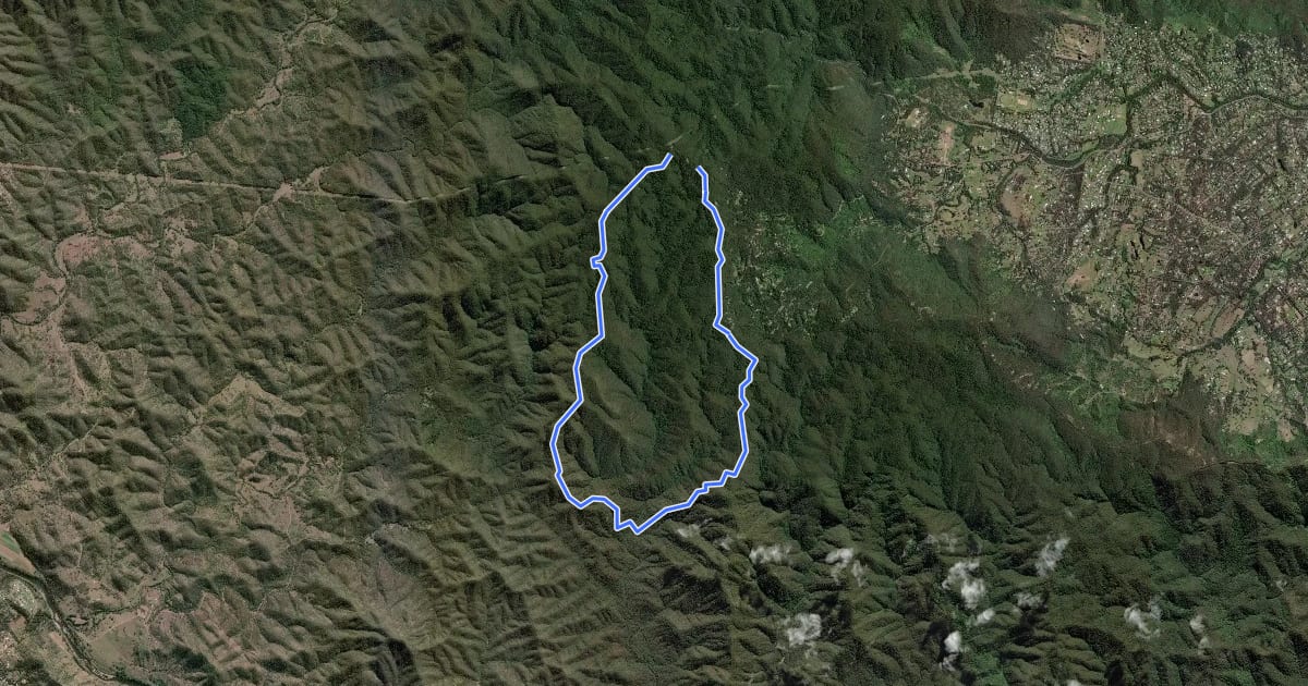 Маршрут Cabbage Tree Range Loop на спутниковом снимке