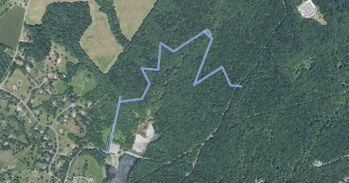 Маршрут Cabin Branch Trail на спутниковом снимке