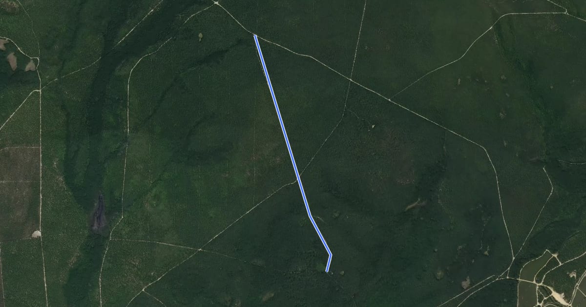 Маршрут Cabin Road на спутниковом снимке