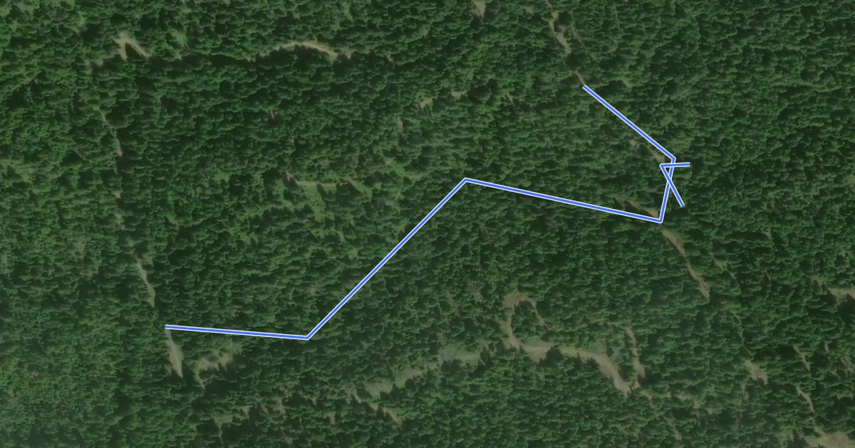 Маршрут Cabin Trail на спутниковом снимке
