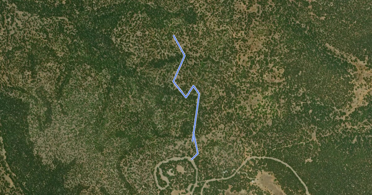 Маршрут Caida del Pino Trail на спутниковом снимке