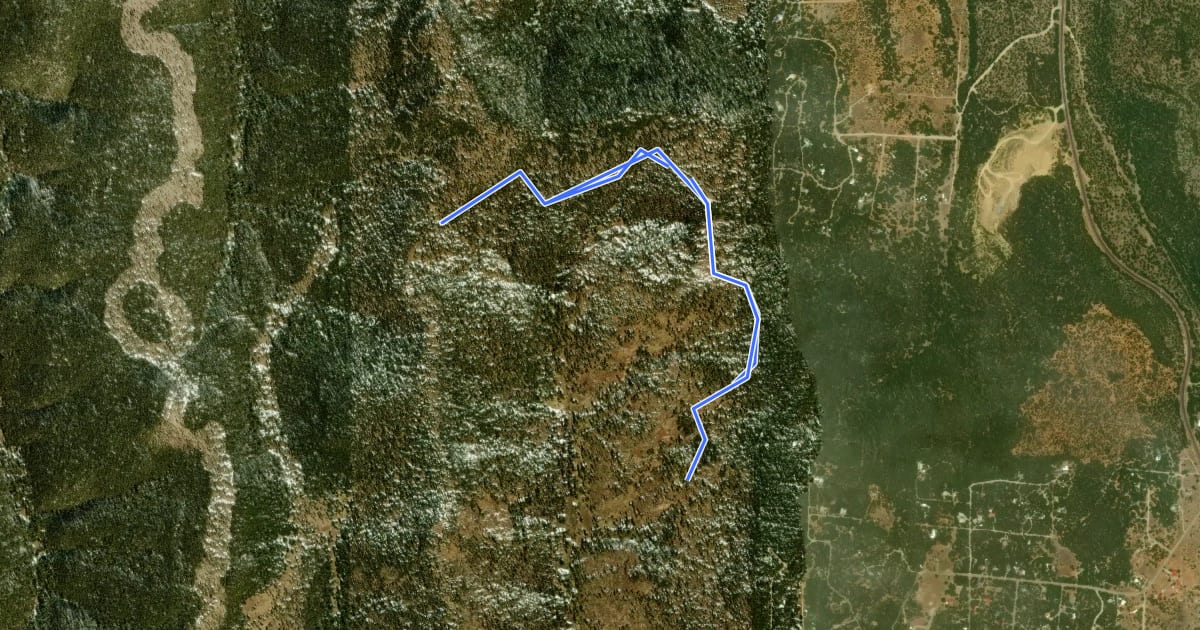 Маршрут Cajun Pine Trail на спутниковом снимке