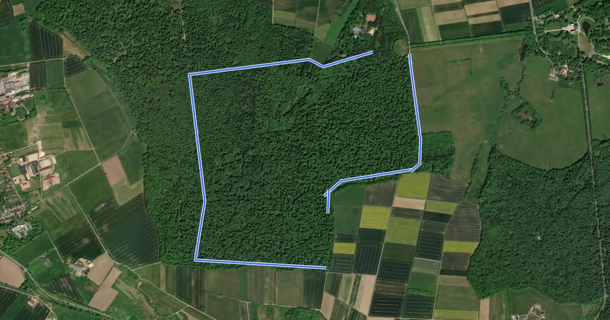 Маршрут Calden, Rundweg 1 на спутниковом снимке
