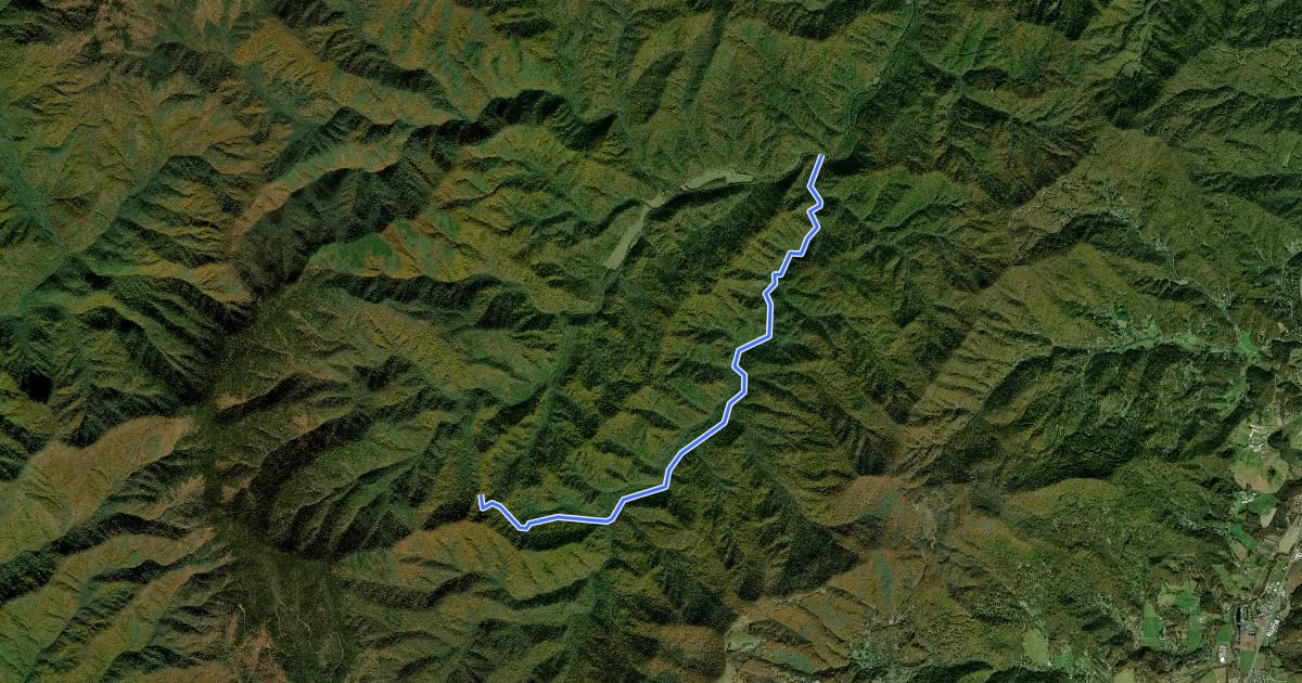 Маршрут Caldwell Fork Trail на спутниковом снимке