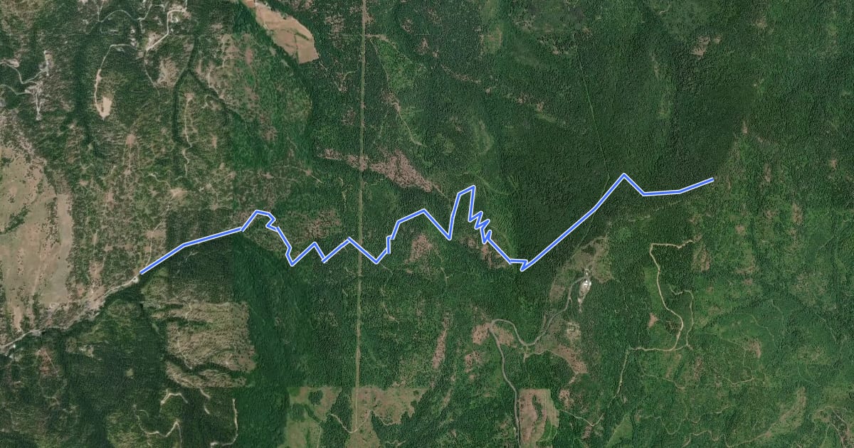 Маршрут California Creek Trail на спутниковом снимке