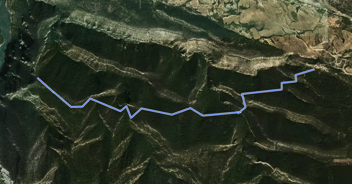 Маршрут Camí d'Alsamora на спутниковом снимке