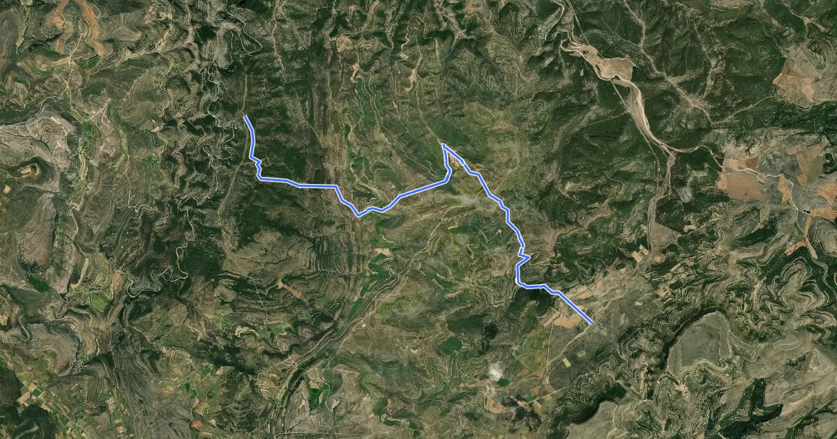 Маршрут Camí de Conquesta: Variant Sud на спутниковом снимке