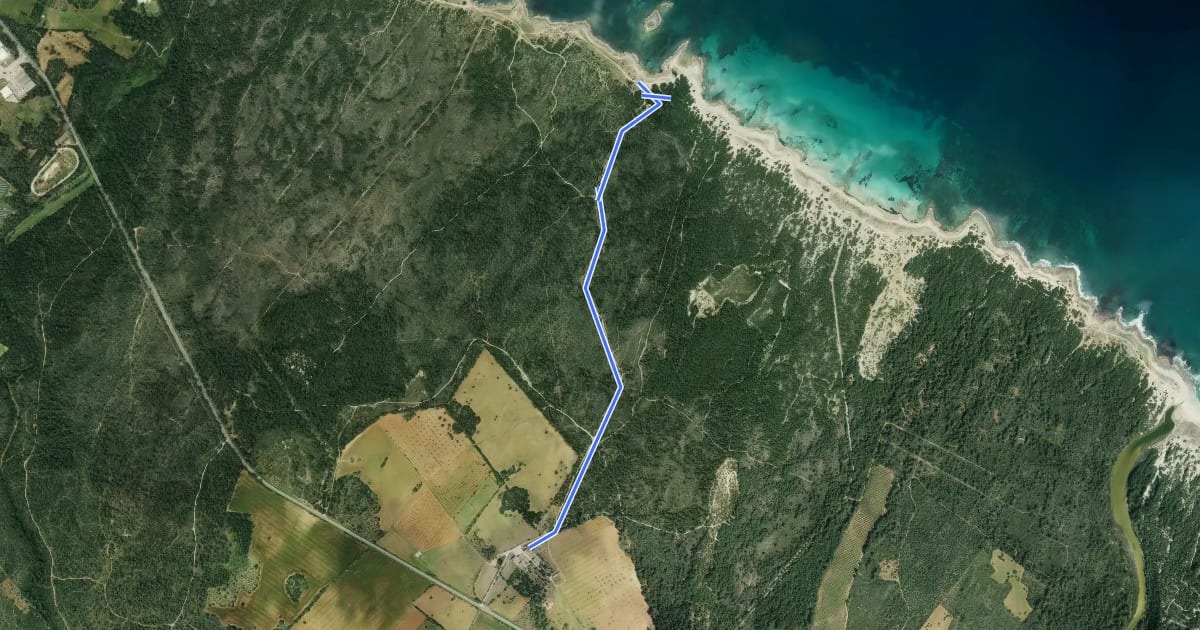 Маршрут Camí de s'Illot des Porros - refugi на спутниковом снимке