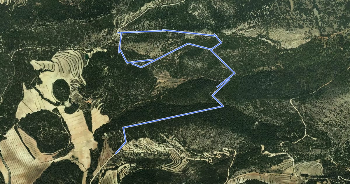 Маршрут Camí dels Geladors Enlace на спутниковом снимке