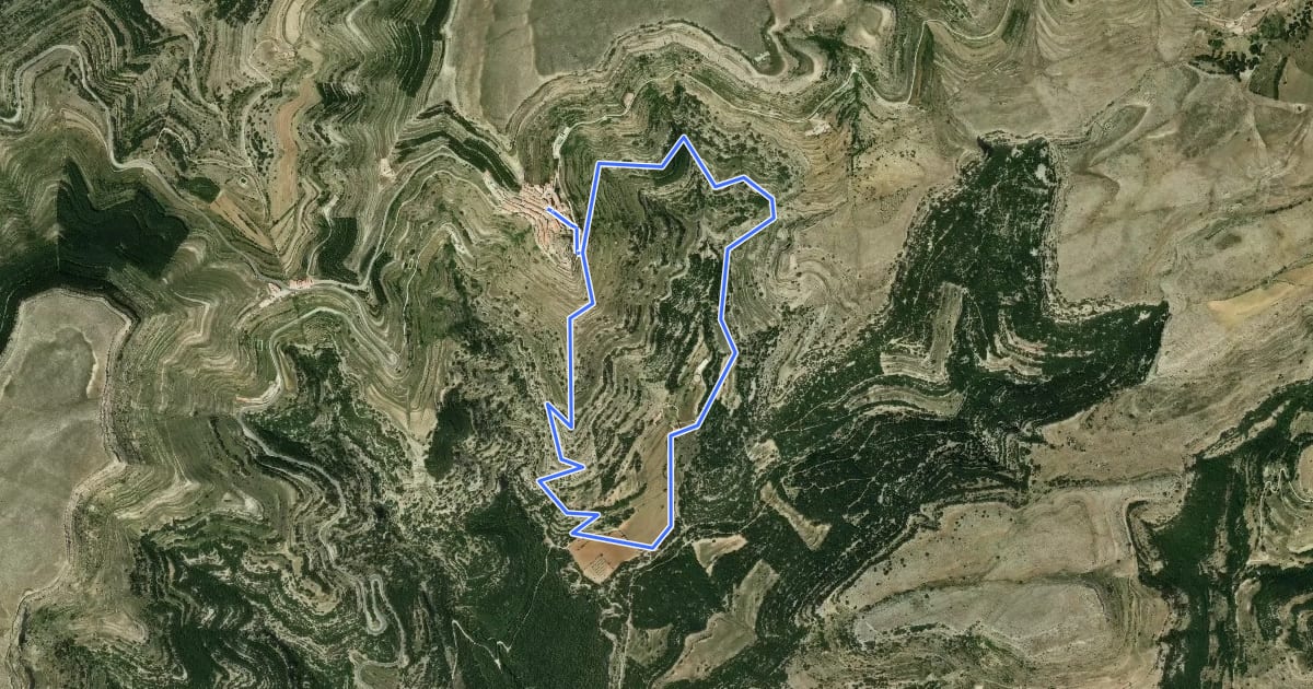Маршрут Camí dels Molins на спутниковом снимке
