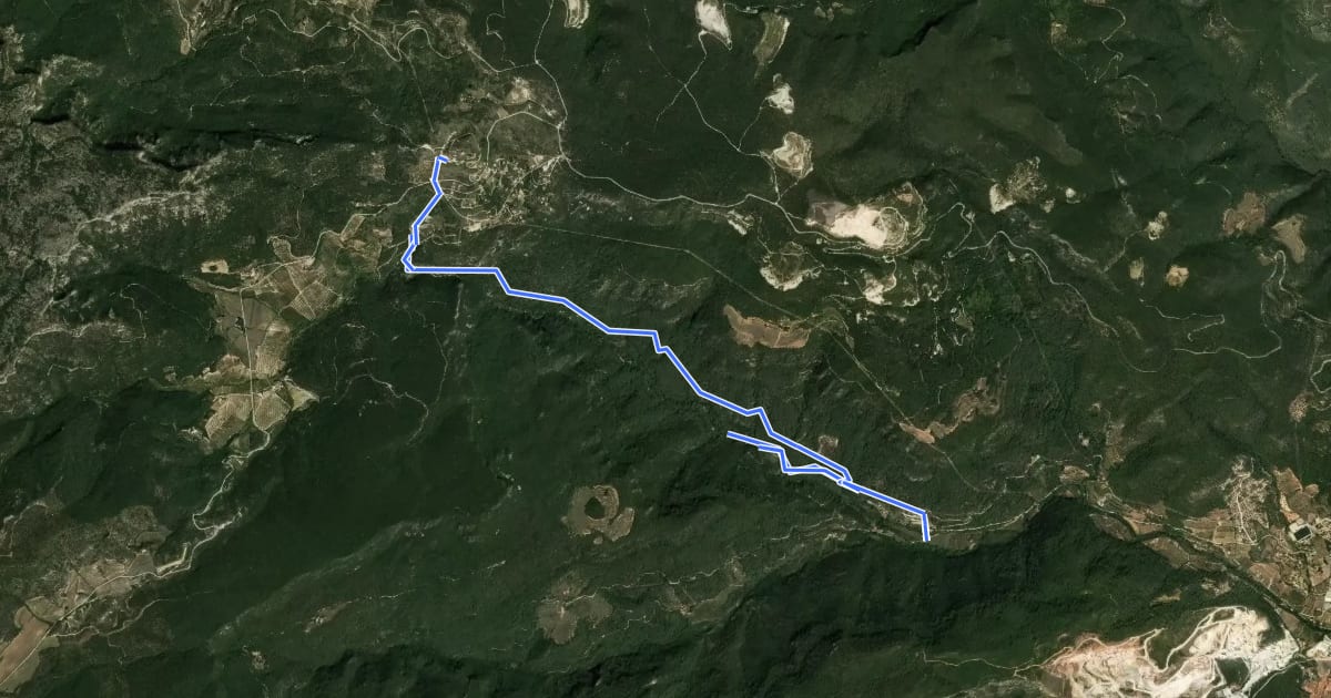 Маршрут Camí natural Ruta del Glorieta на спутниковом снимке