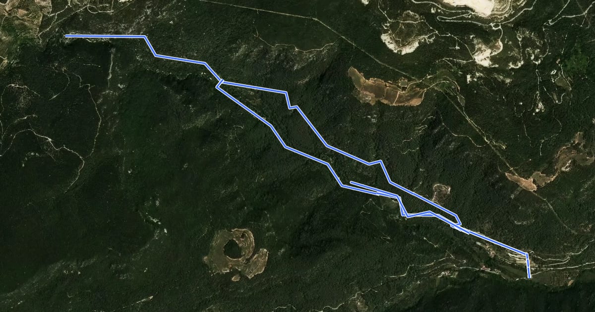 Маршрут Camí natural Ruta del Glorieta. Variant Molí del Glorieta на спутниковом снимке