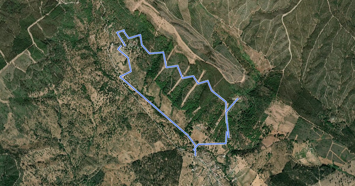 Маршрут Caminhos da Aldeia на спутниковом снимке