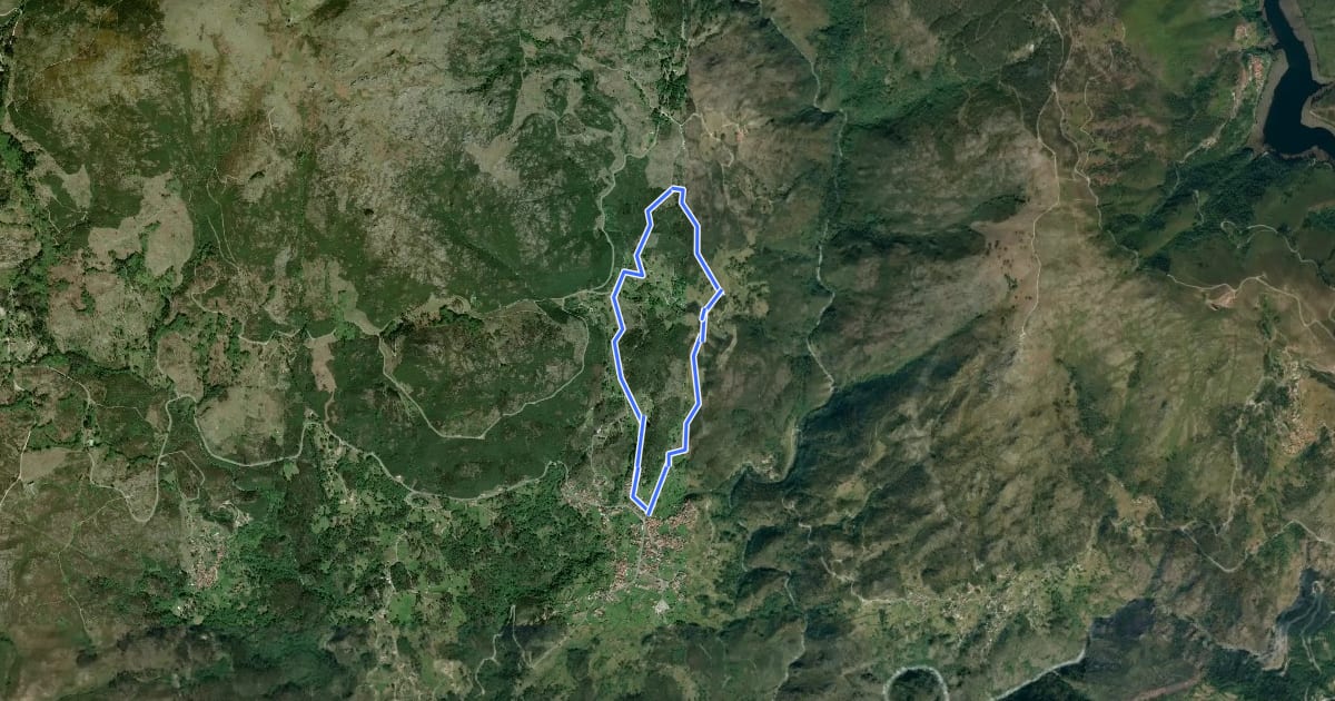 Маршрут Caminhos do Pão e Caminhos da Fé (Percurso Longo) на спутниковом снимке