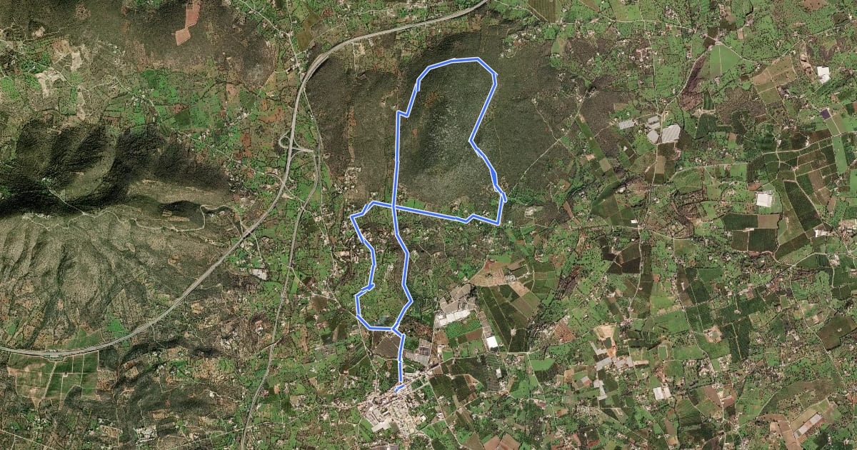 Маршрут Caminhos Romanos e Cerro da Cabeça на спутниковом снимке
