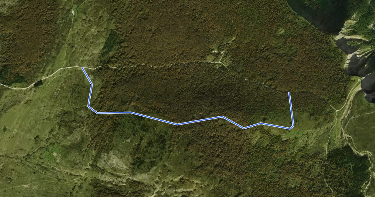 Маршрут Camino de Alterla на спутниковом снимке