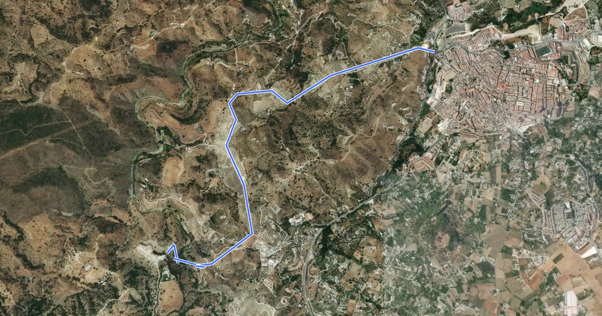 Маршрут Camino de la Ermita (por los Alberos) на спутниковом снимке