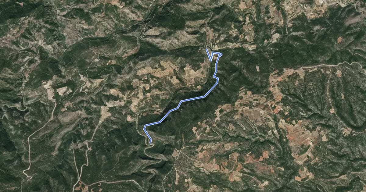 Маршрут Camino de las Cinglas на спутниковом снимке