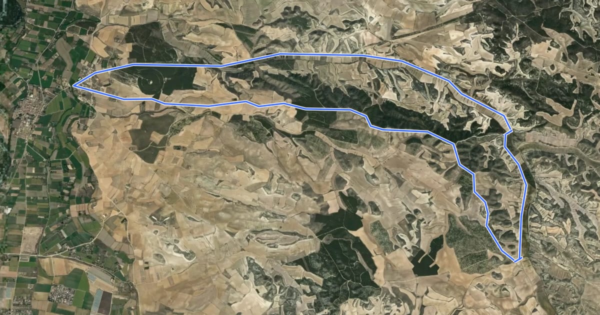 Маршрут Camino del Monte de Peñaflor на спутниковом снимке