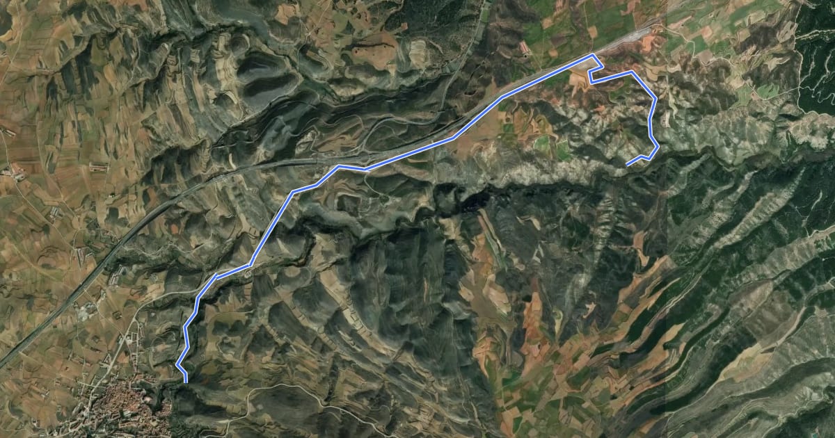 Маршрут Camino Jacobeo Castellano-Aragonés: variantes на спутниковом снимке