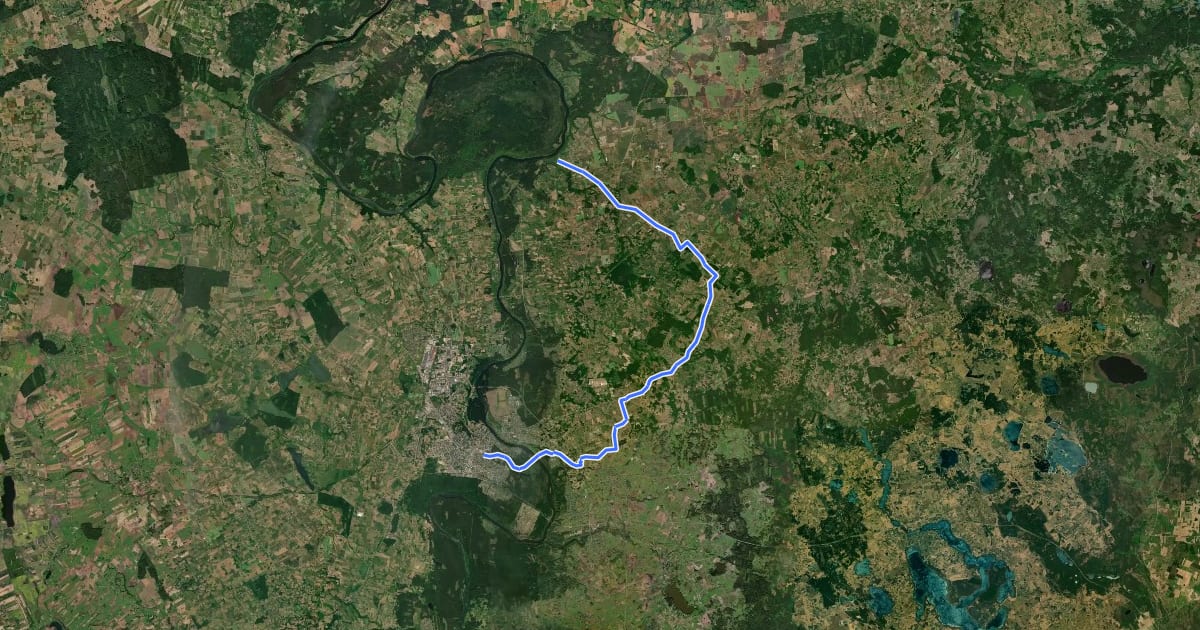 Маршрут Camino Lituano 17 etapas: Punia–Alytus на спутниковом снимке