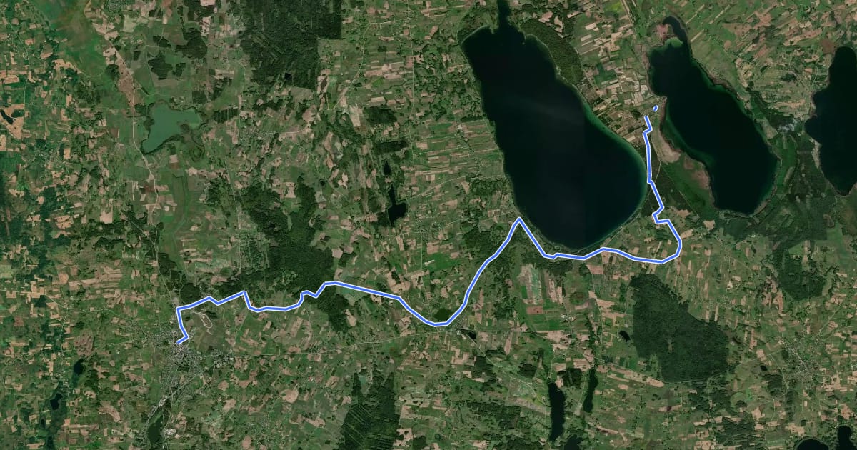 Маршрут Camino Lituano 20 etapas: Meteliai–Lazdijai на спутниковом снимке