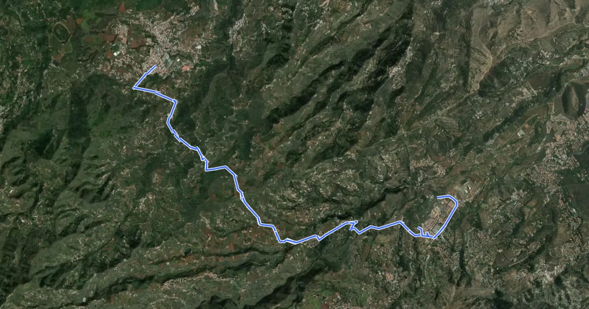 Маршрут Camino Pál Pino de Santa Brígida a Teror на спутниковом снимке