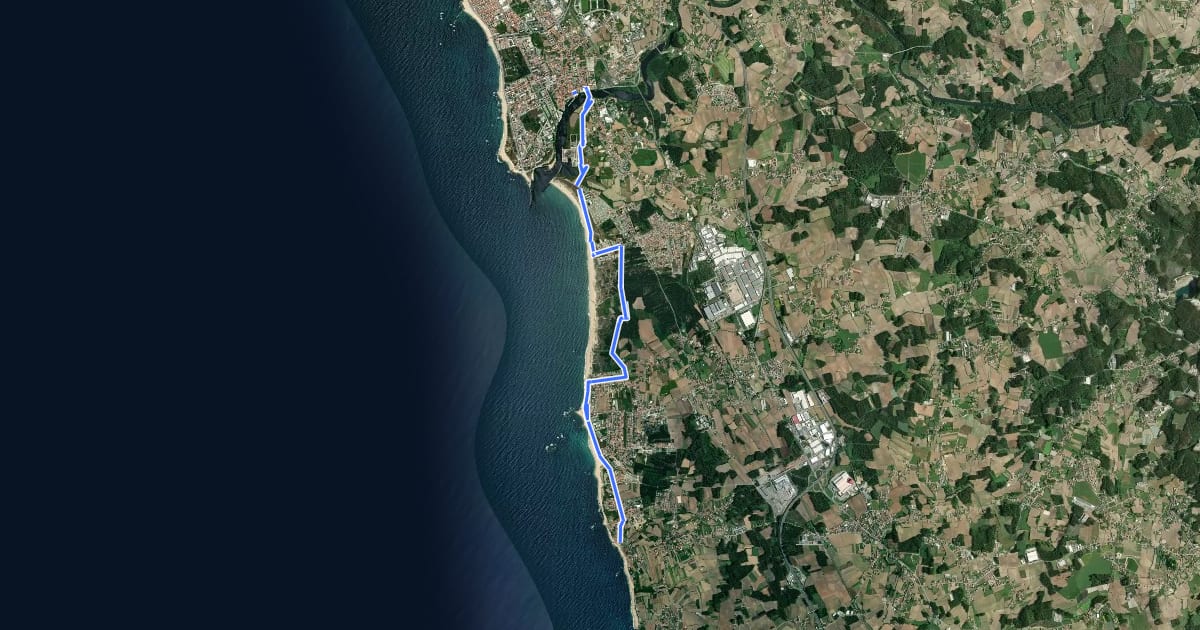 Маршрут Camino Portuguese (Vila Chã - Vila do Conde) на спутниковом снимке