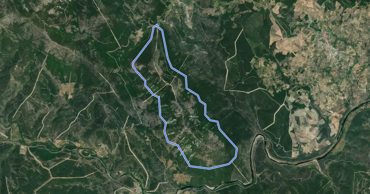 Маршрут Camino Vuelta a la Sierra Castillo на спутниковом снимке