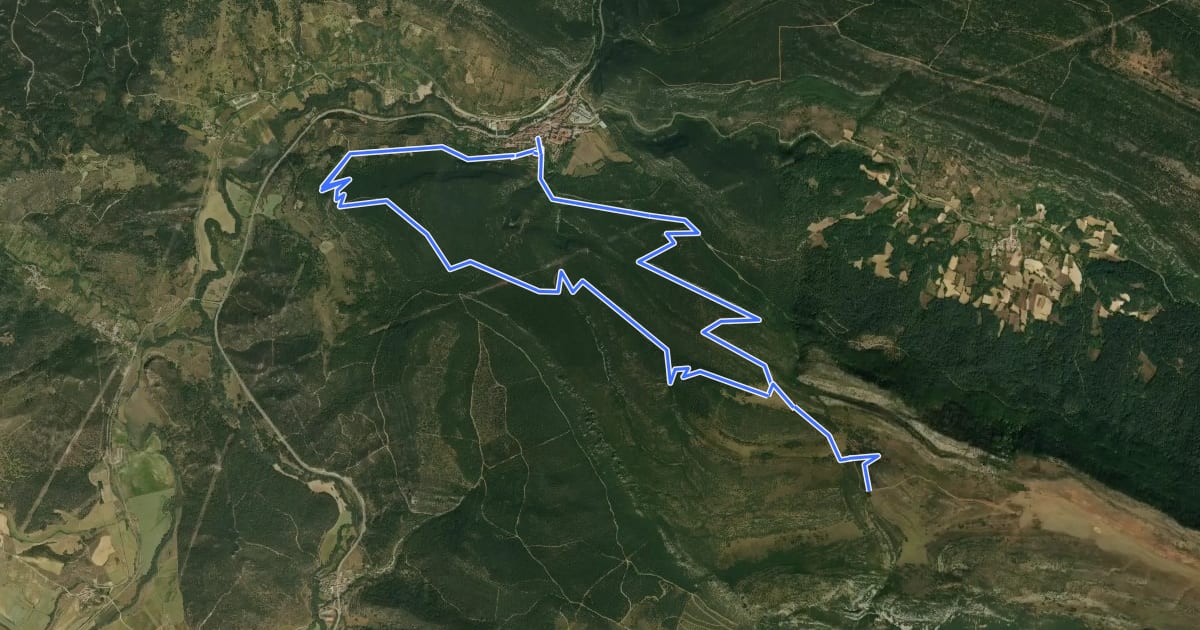Маршрут Caminos de Oña на спутниковом снимке