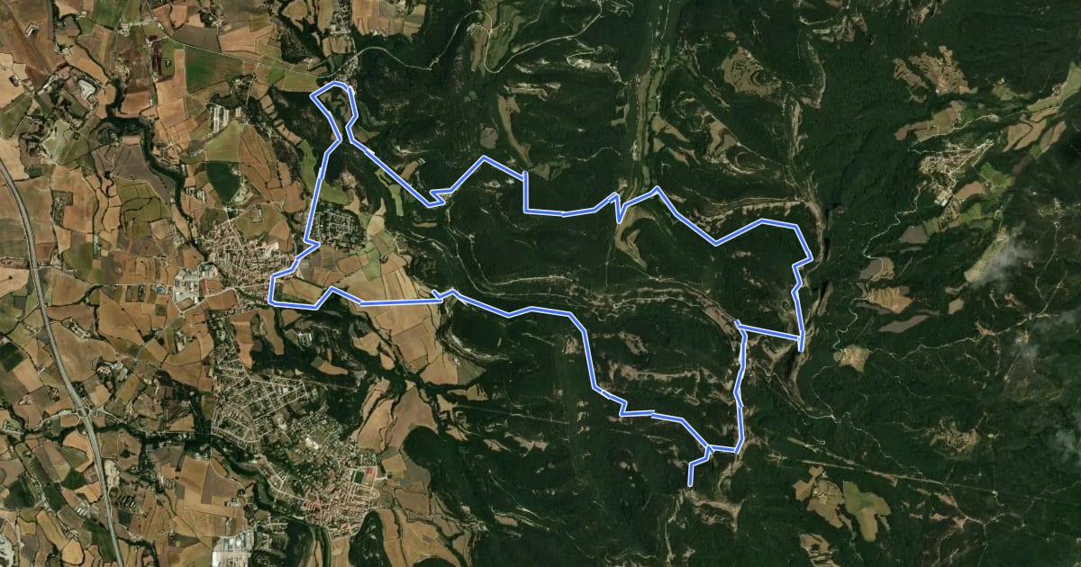 Маршрут Camins de Verdaguer на спутниковом снимке