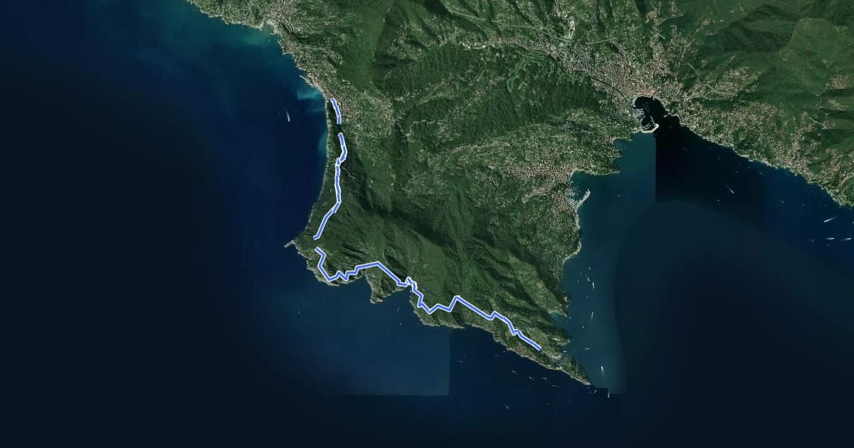 Маршрут Camogli - San Rocco - Passo del Bacio - San Fruttuoso - Portofino mare на спутниковом снимке