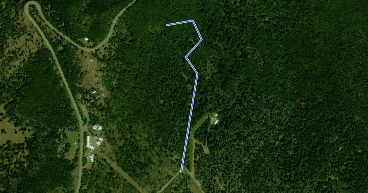Маршрут Camp Alice Trail на спутниковом снимке
