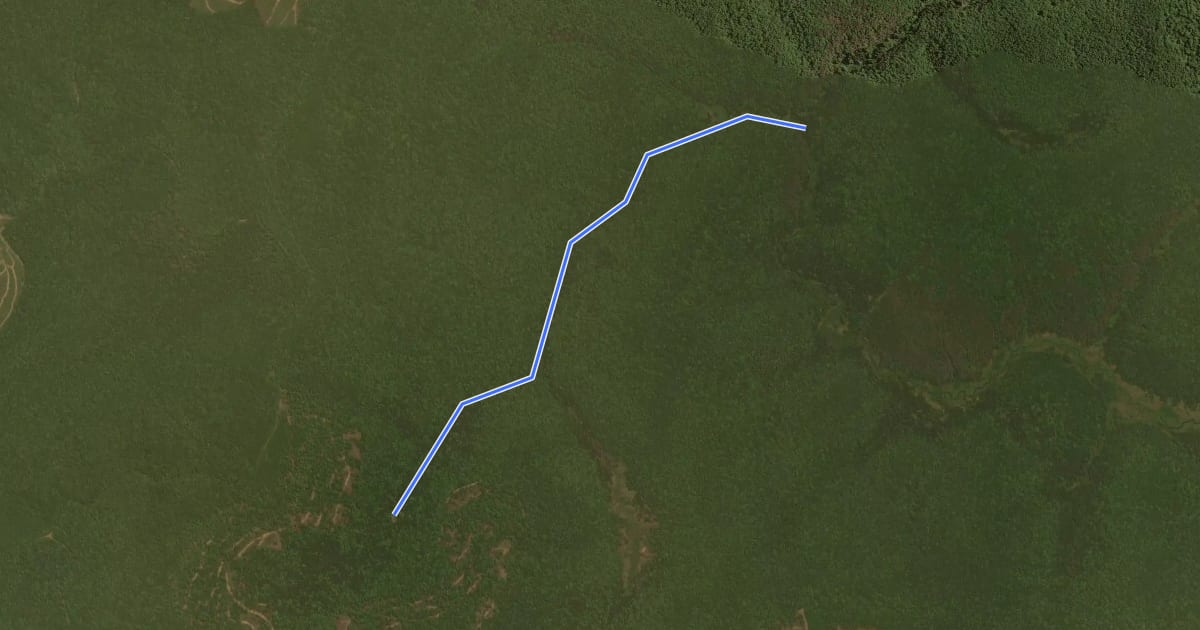 Маршрут Camp Five Trail на спутниковом снимке