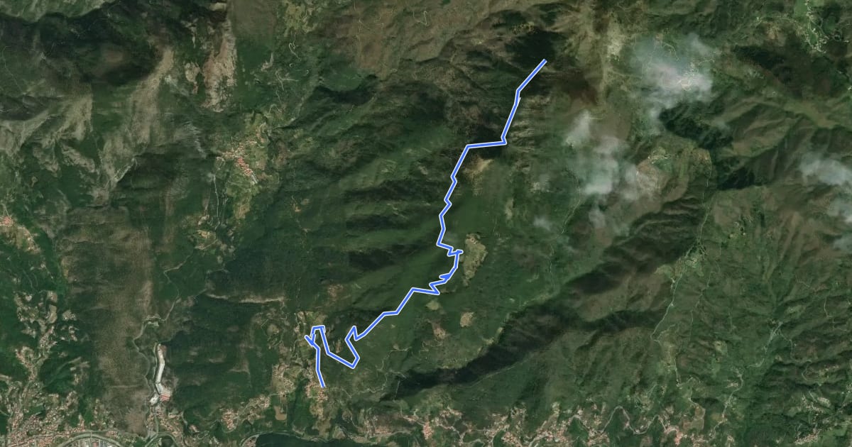 Маршрут Campegli - Pendici Monte Alpe на спутниковом снимке