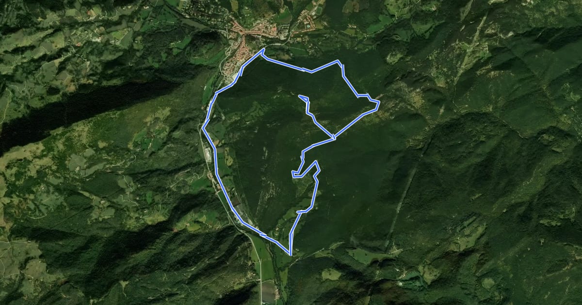 Маршрут Camprodon, la muntanya de Sant Antoni i el Santuari del Remei на спутниковом снимке